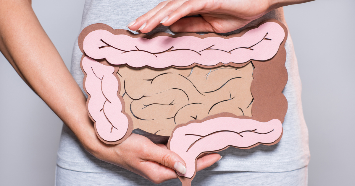 Digestive system made out of construction paper